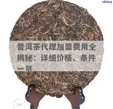 探索州普洱茶 官方聯(lián)系、優(yōu)選代理與銷(xiāo)售全攻略